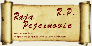 Raja Pejčinović vizit kartica